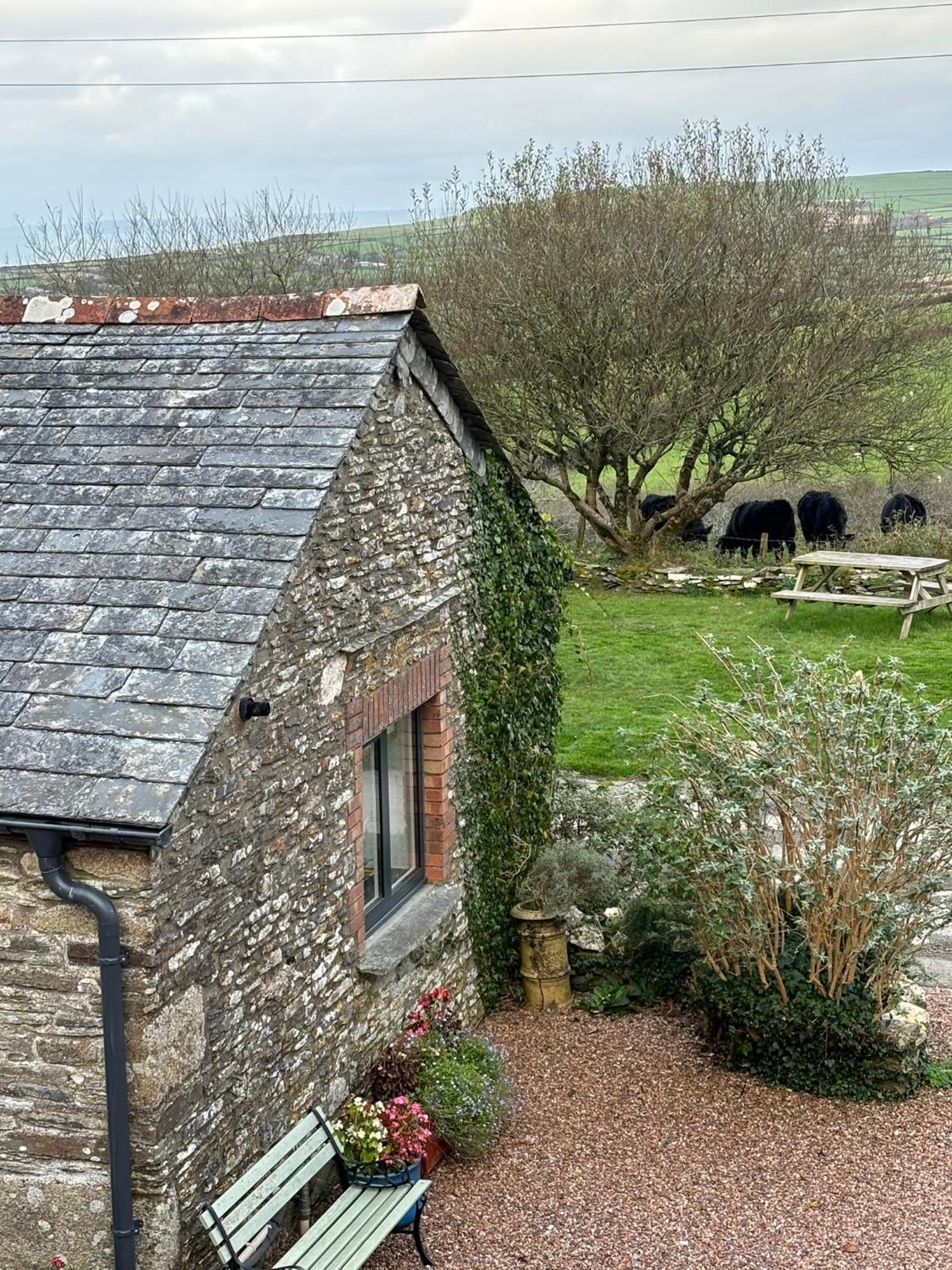 Polrunny Farm Seaberry Cottage With A Sea View And Log Burner Boscastle Extérieur photo